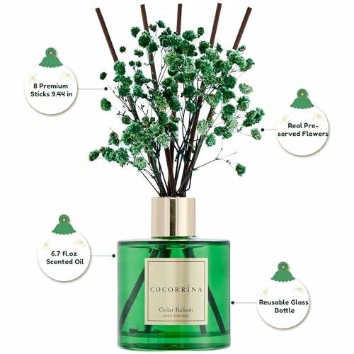 Cocorrina Cedar Balsam reed diffuser with preserved flowers and green bottle.